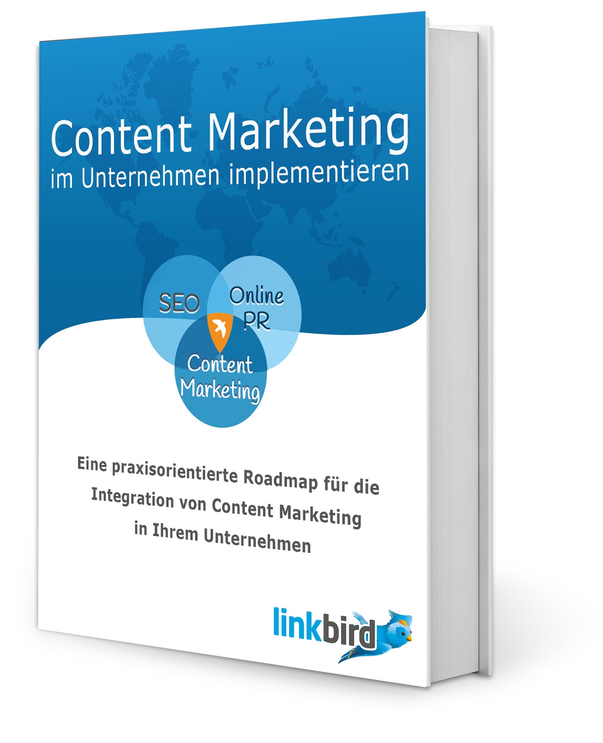 Content Marketing Whitepaper Preview
